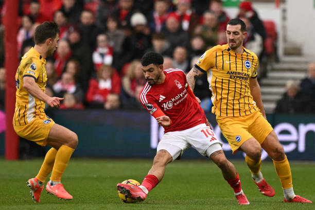 成为赛场上 成为赛场上